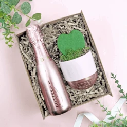 The Plant & Prosecco Gift Set