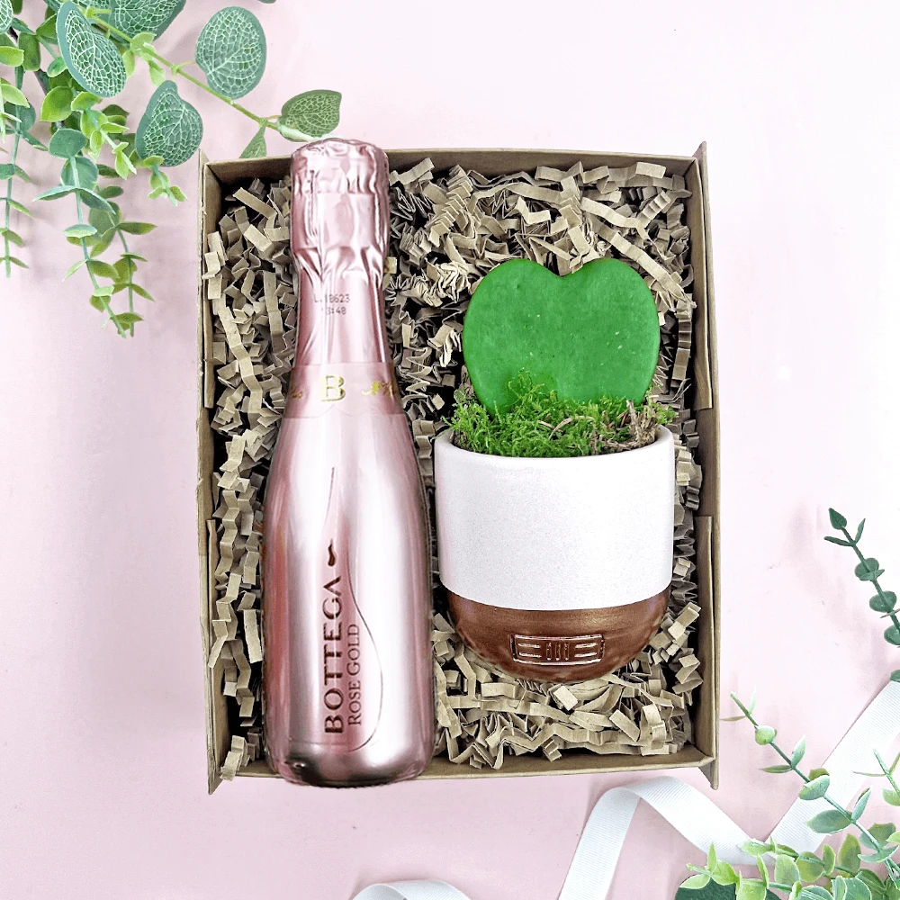 The Plant & Prosecco Gift Set - Image 2