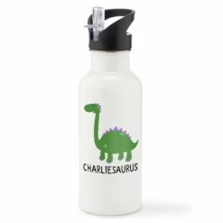 Children's Personalised Dino Water Bottle