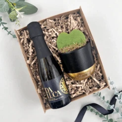 The Black And Gold Plant & Prosecco Gift Set