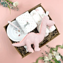 The Baby Girl Gift Box