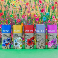 Wildflower Seeds Tube - Various Flowers